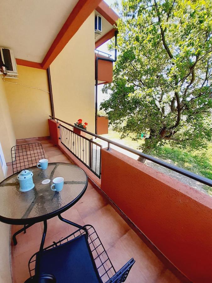 Apartment Macic Dub I Котор Экстерьер фото